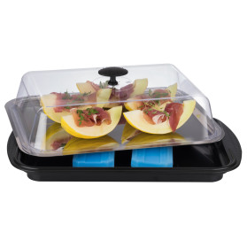 APS Thermo Tablett Set 43 x 29 cm, H: 14 cm
